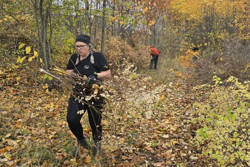 Bild på en person som går i skogen och drar på en rishög.