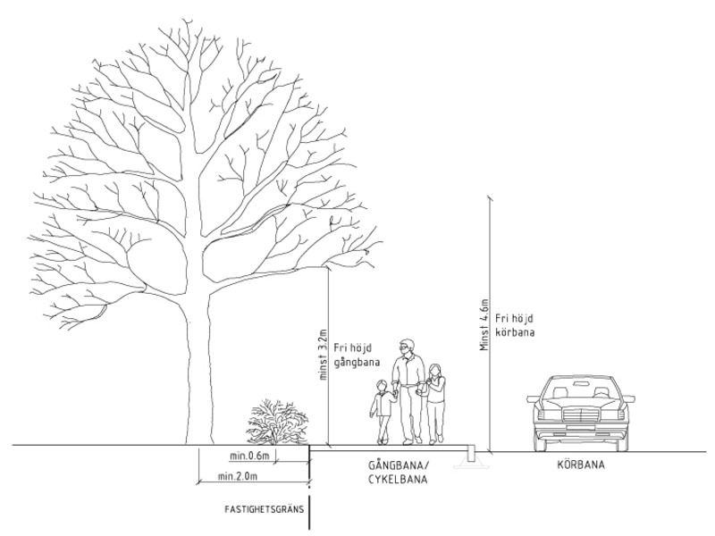 Tänk på följande när du planerar utformningen av din tomt:- häck planteras minst 0,6 m innanför tomtgräns- träd planteras minst 2,0 m innanför tomtgräns.
