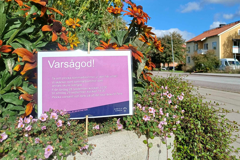 Skylt i urna i Hallstavik som talar om att plockning av blommor är tillåtet.