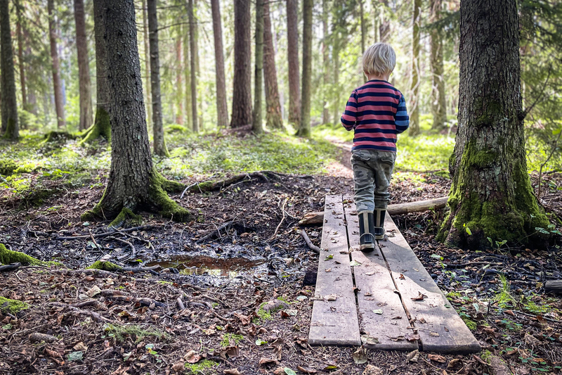 ett barn går över en spång mot en solig skog