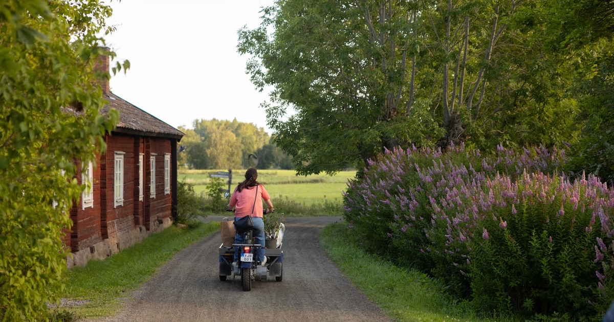 Person på flakmoped som åker längs en grusväg. Till höger en buske med blommor och till vänster ett rött hus.